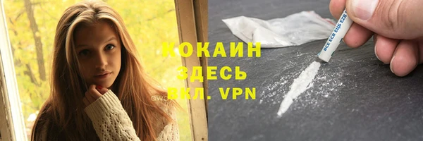 амф Дмитров