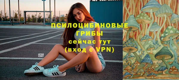 амф Дмитров