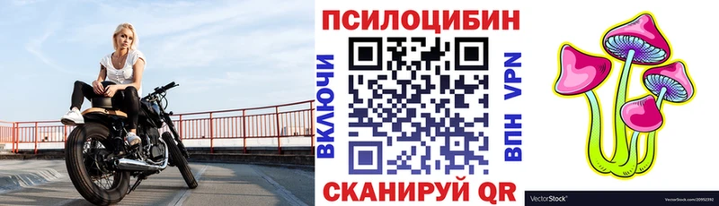 Галлюциногенные грибы Psilocybe  Качканар 